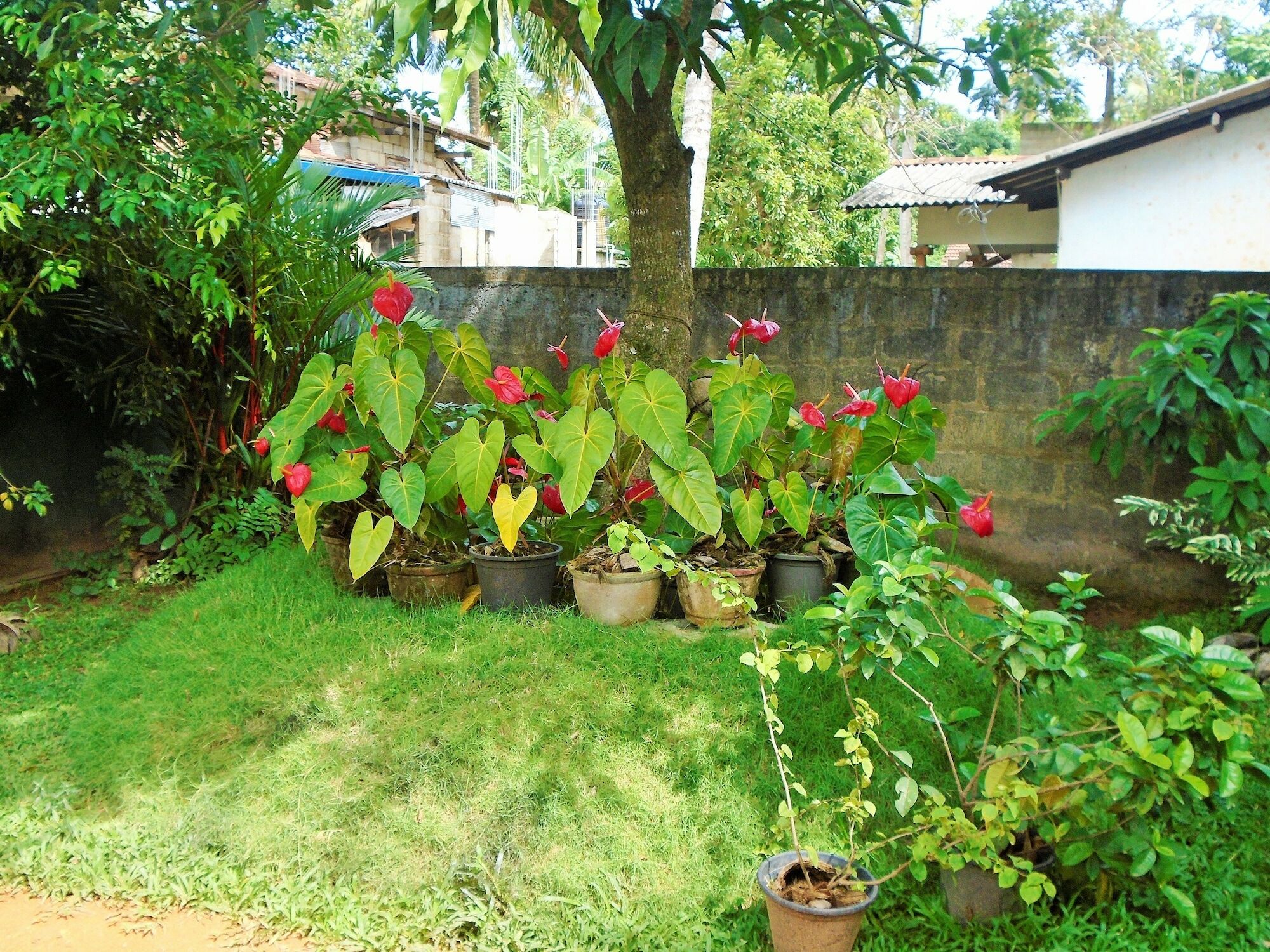 Ceylon Hostel-Galle Унаватуна Экстерьер фото